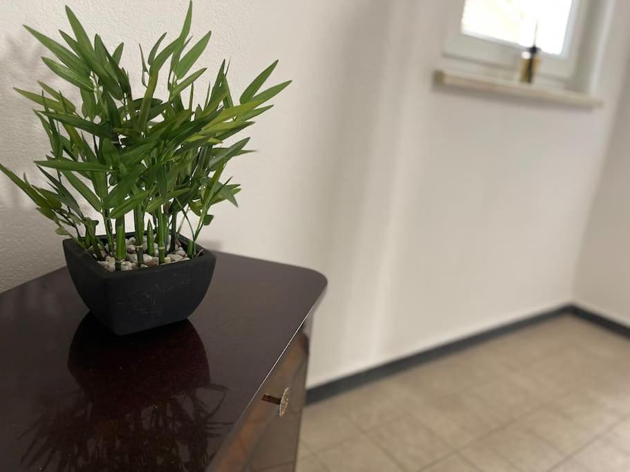 Appartements « La Parenthese » Wissembourg Exteriér fotografie