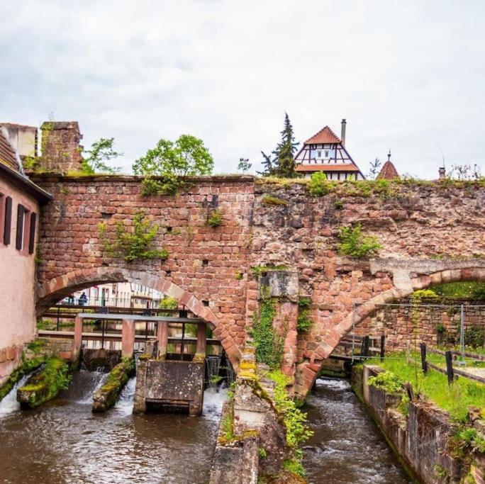 Appartements « La Parenthese » Wissembourg Exteriér fotografie